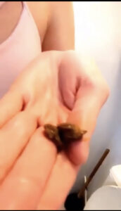 Free Scat Porn