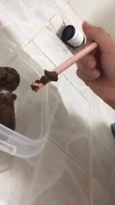 Free Scat Porn