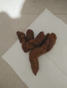 Free Scat Porn