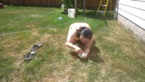 Free Scat Porn