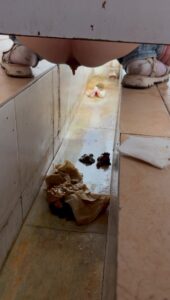 Free Scat Porn