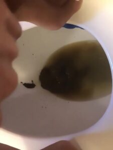 Free Scat Porn