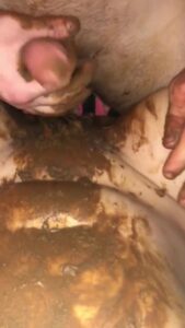 Free Scat Porn