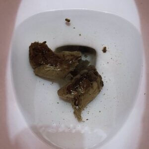 Free Scat Porn