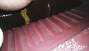 Free Scat Porn