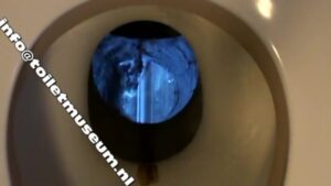 Free Scat Porn