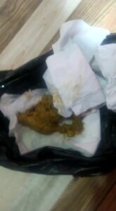 Free Scat Porn