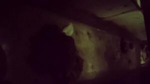 Free Scat Porn