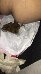 Free Scat Porn