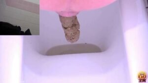 Free Scat Porn