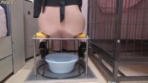 Free Scat Porn