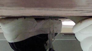 Free Scat Porn