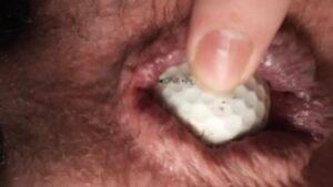 Free Scat Porn