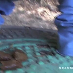 Free Scat Porn