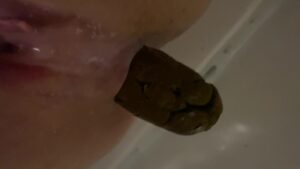 Free Scat Porn