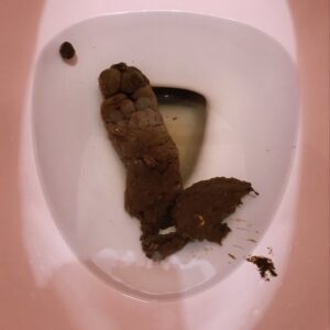 Free Scat Porn