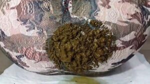 Free Scat Porn