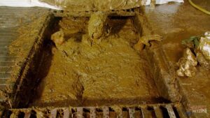 Free Scat Porn