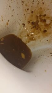 Free Scat Porn