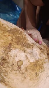 Free Scat Porn