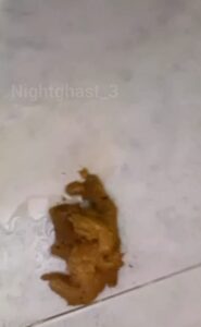Free Scat Porn