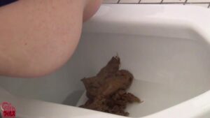 Free Scat Porn