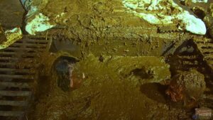 Free Scat Porn