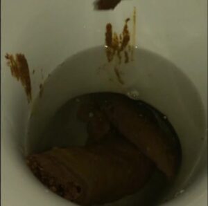 Free Scat Porn
