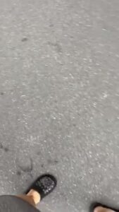Free Scat Porn