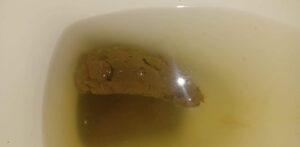Free Scat Porn