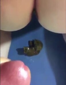 Free Scat Porn