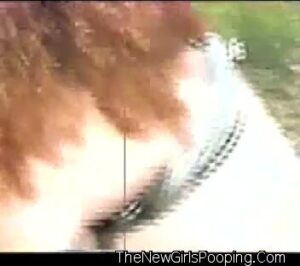 Free Scat Porn