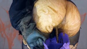Free Scat Porn
