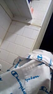 Free Scat Porn