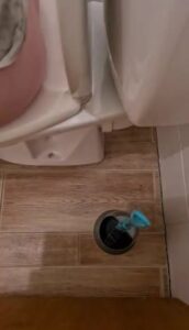 Free Scat Porn