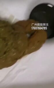 Free Scat Porn