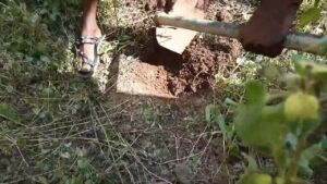 Free Scat Porn