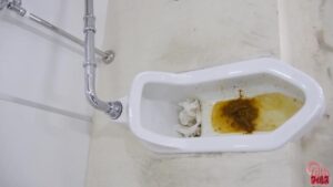 Free Scat Porn