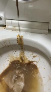 Free Scat Porn