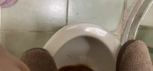 Free Scat Porn