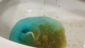 Free Scat Porn