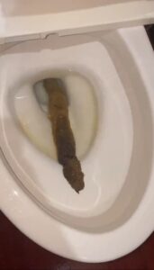Free Scat Porn