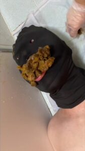 Free Scat Porn