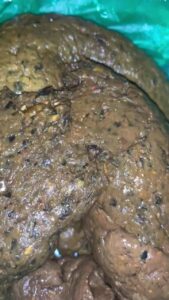 Free Scat Porn