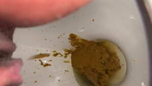 Free Scat Porn