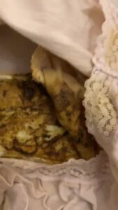 Free Scat Porn