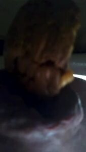 Free Scat Porn