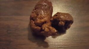 Free Scat Porn