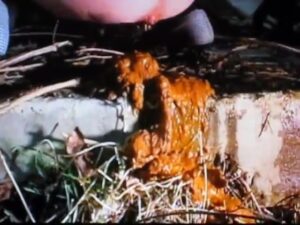 Free Scat Porn