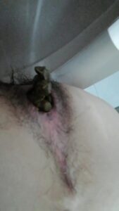 Free Scat Porn